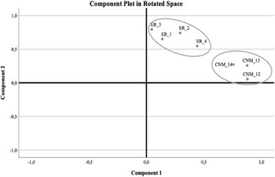 Content and Language Integrated Scientific Modelling: A Novel Approach to Model Learning